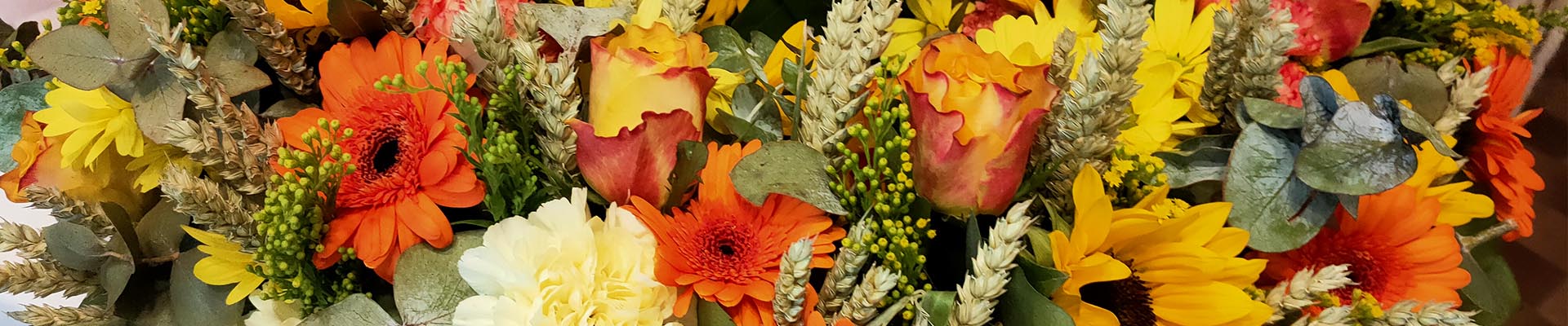 images Header3